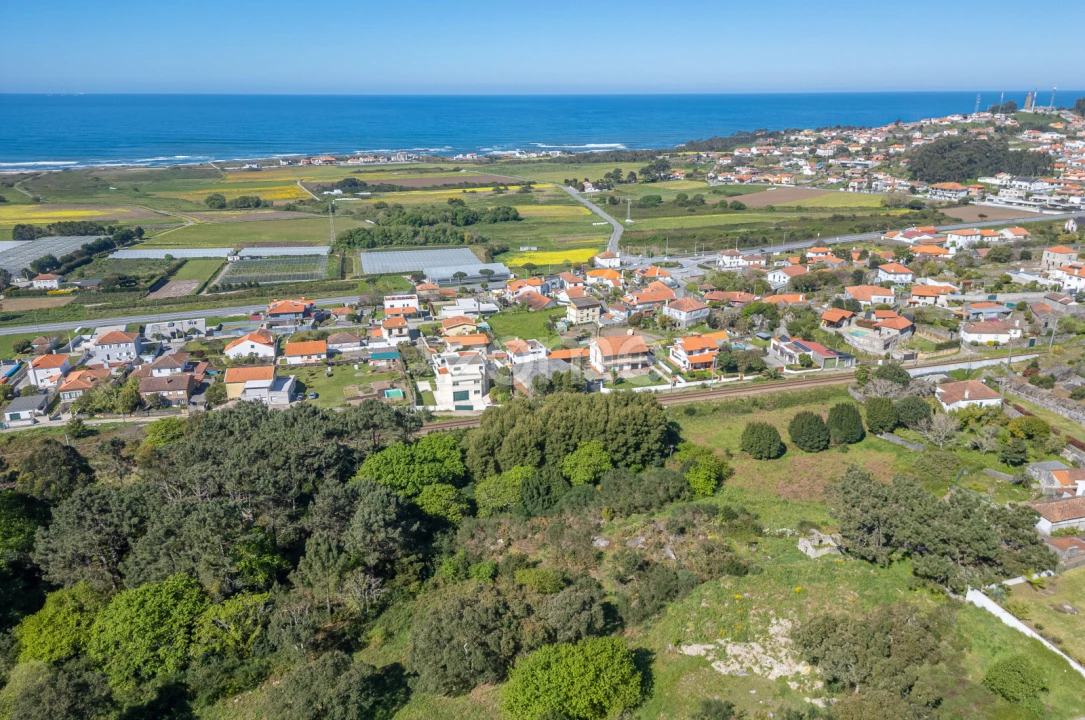 Terreno Comércio / Armazém para Venda em Carreço Foto 14