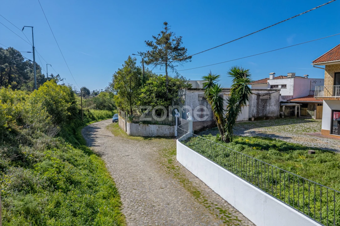 Terreno Comércio / Armazém para Venda em Carreço Foto 3
