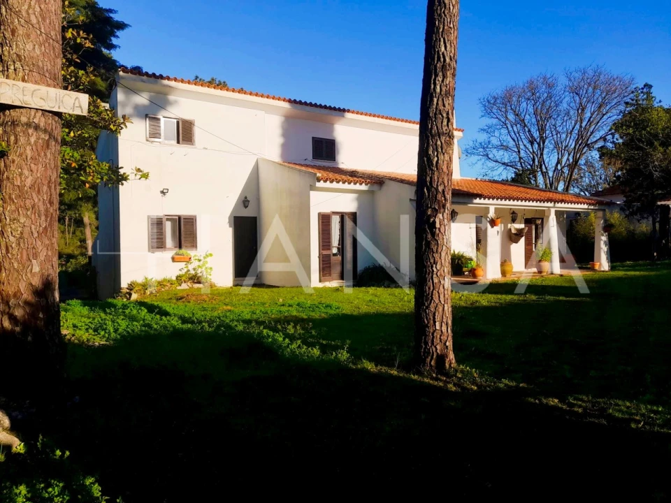 Moradia T4 para Venda em Sesimbra (Castelo) Foto 1