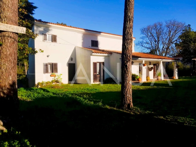 Moradia T4 para Venda em Sesimbra (Castelo)