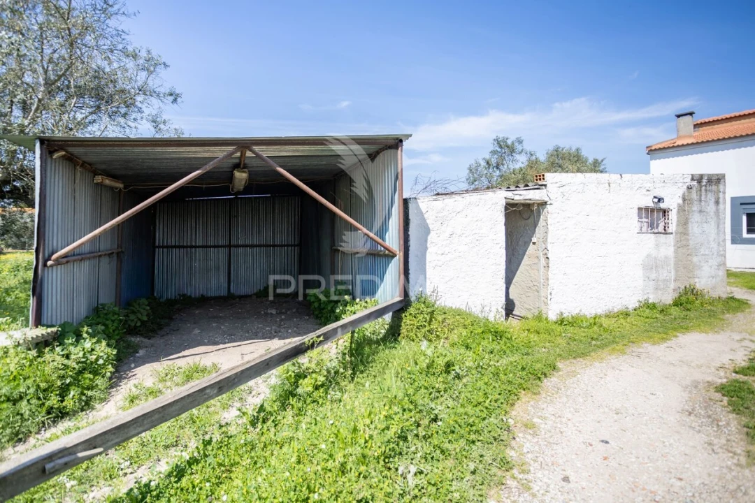 Quinta T4 para Venda em Pinhal Novo Foto 40