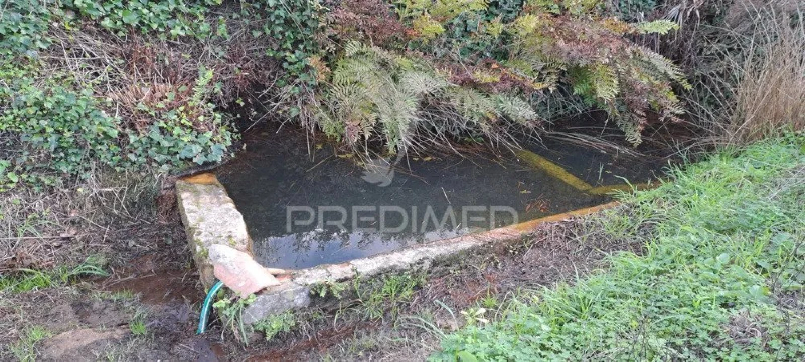 Terreno para Venda em Lousa Foto 1