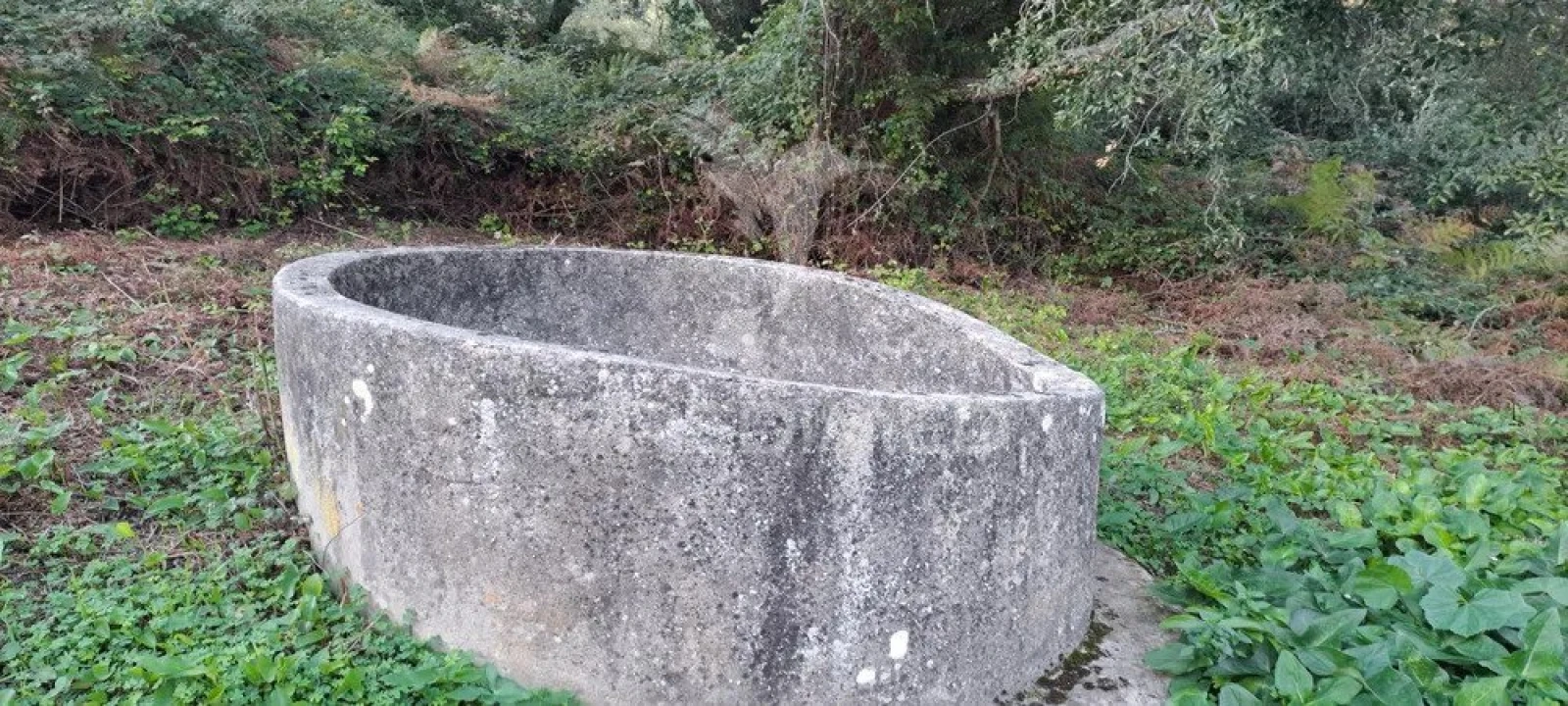 Terreno para Venda em Lousa Foto 3