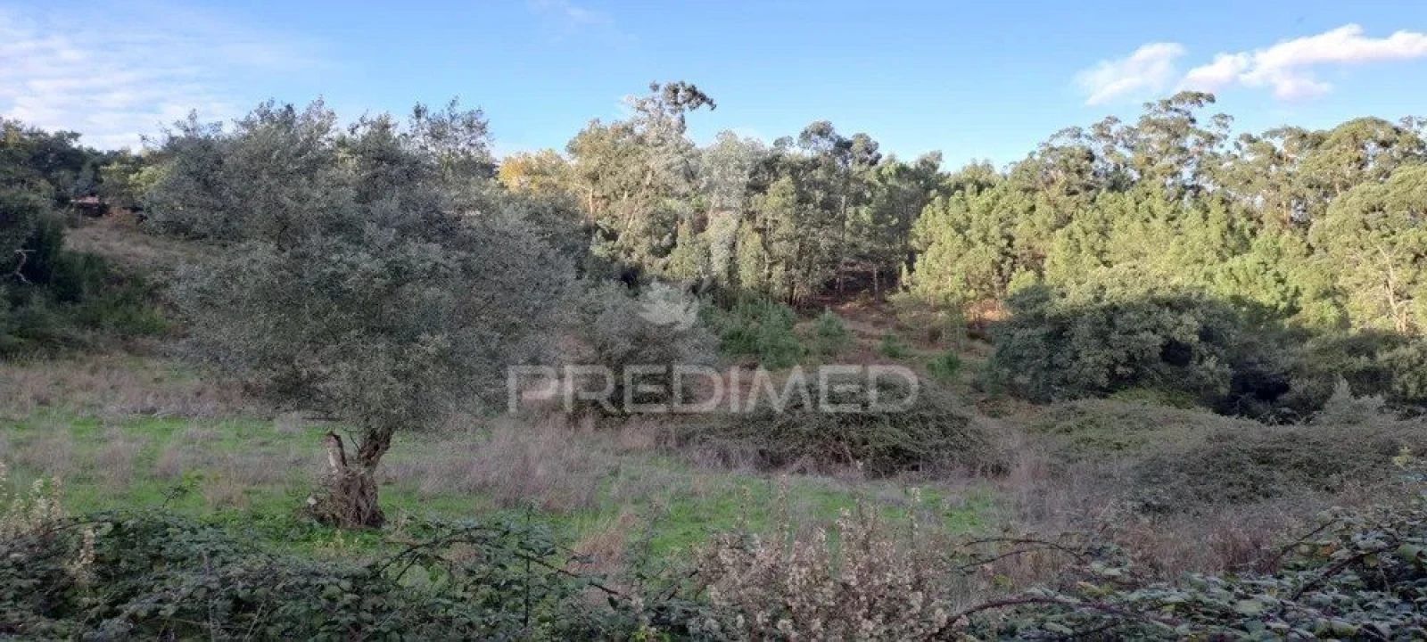 Terreno para Venda em Lousa Foto 7