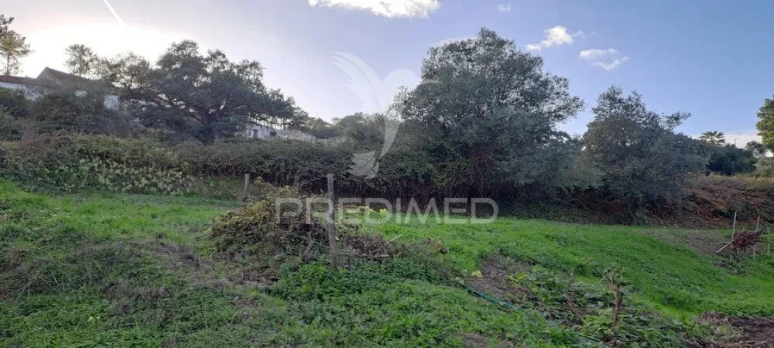 Terreno para Venda em Lousa Foto 6