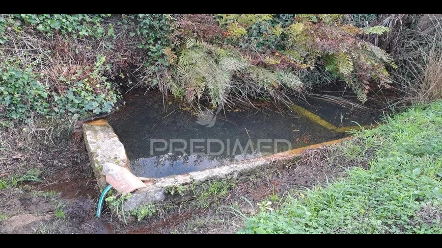 Terreno para Venda em Lousa