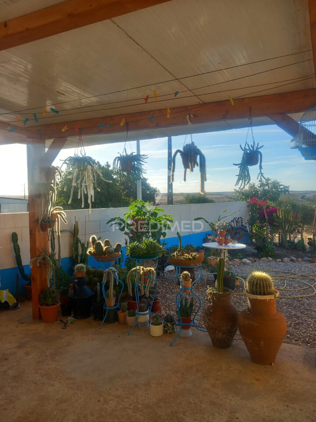 Moradia T2 para Venda em Redondo Foto 11