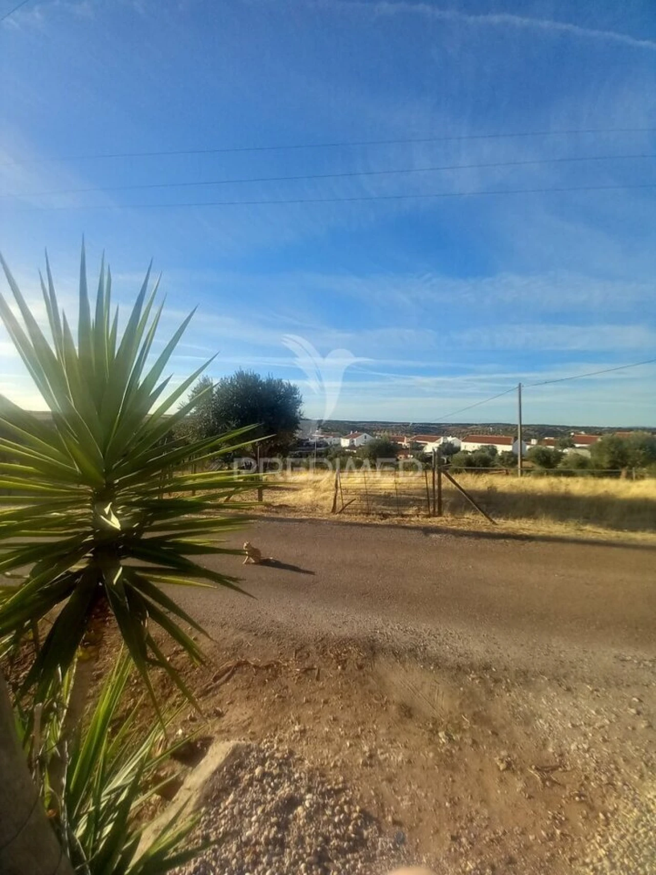 Moradia T2 para Venda em Redondo Foto 19