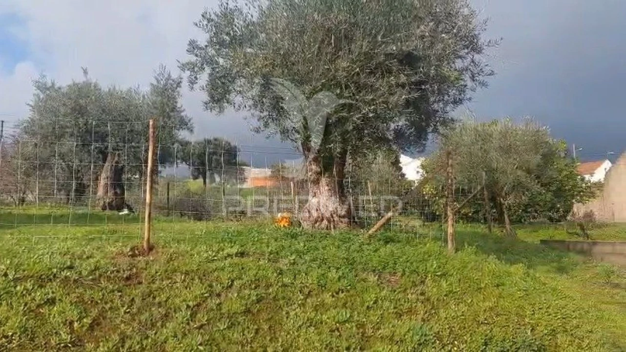 Terreno para Venda em Praia do Ribatejo Foto 3