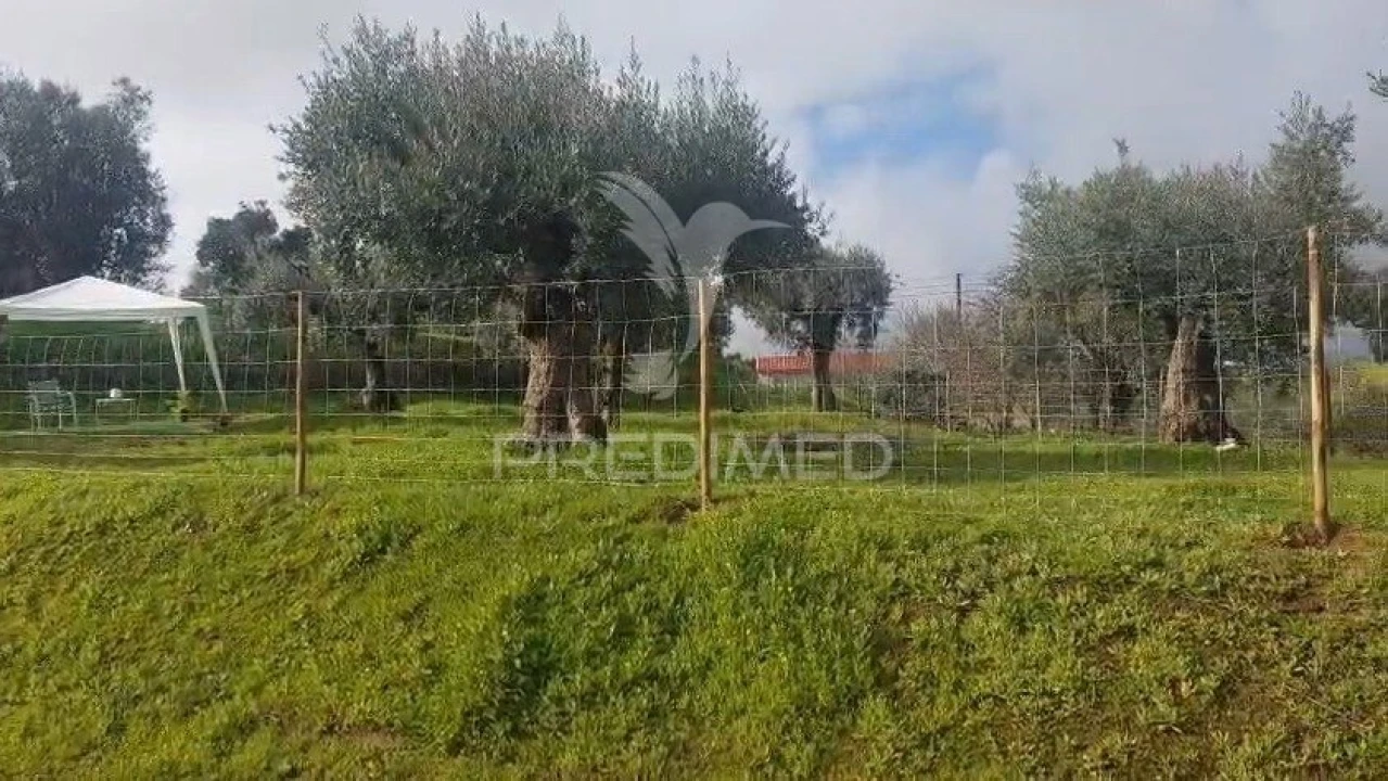 Terreno para Venda em Praia do Ribatejo Foto 4