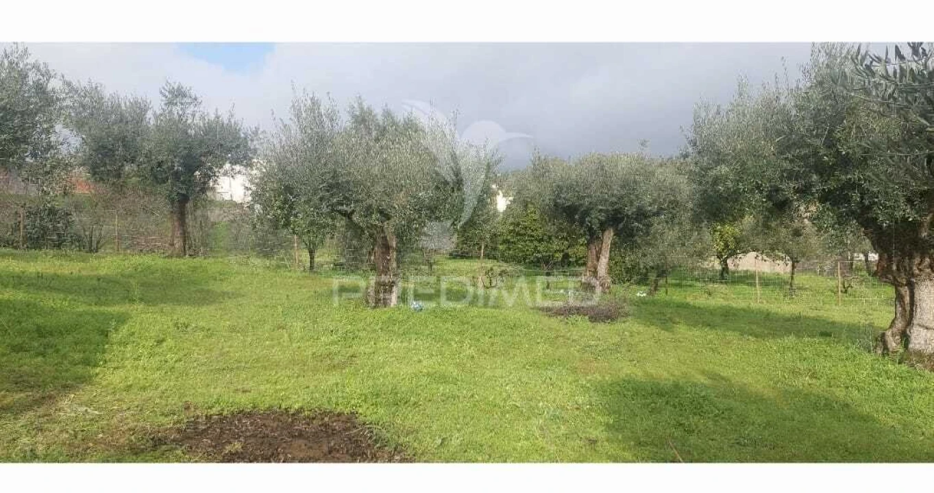 Terreno para Venda em Praia do Ribatejo Foto 5