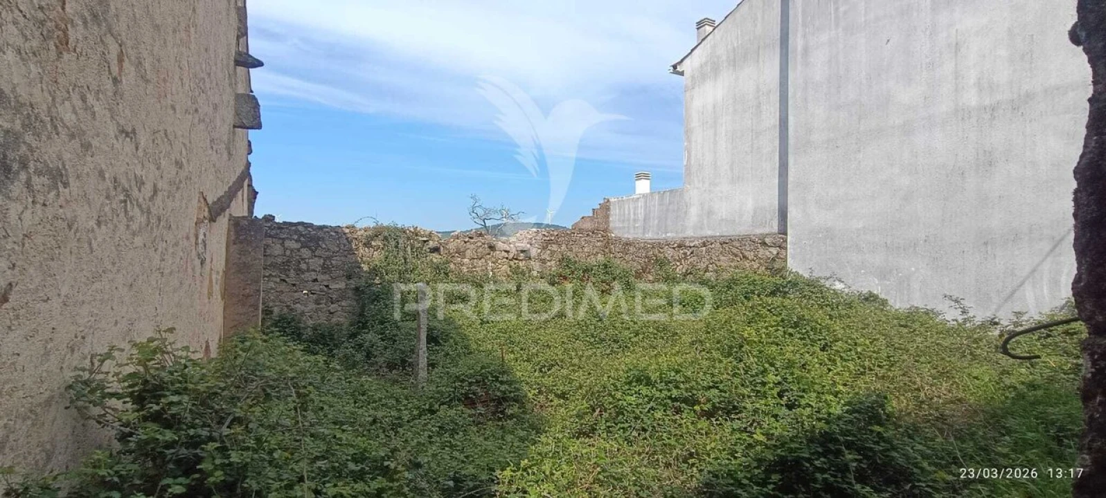 Terreno para Venda em Penamacor Foto 2