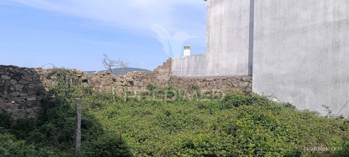 Terreno para Venda em Penamacor Foto 4