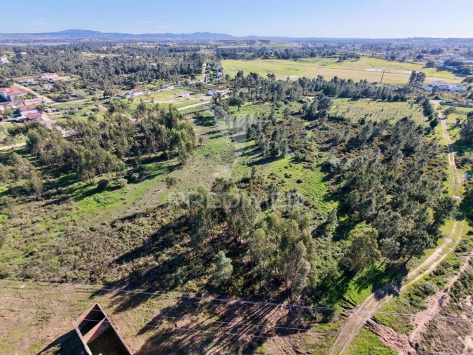 Terreno para Venda em Quinta do Anjo Foto 18