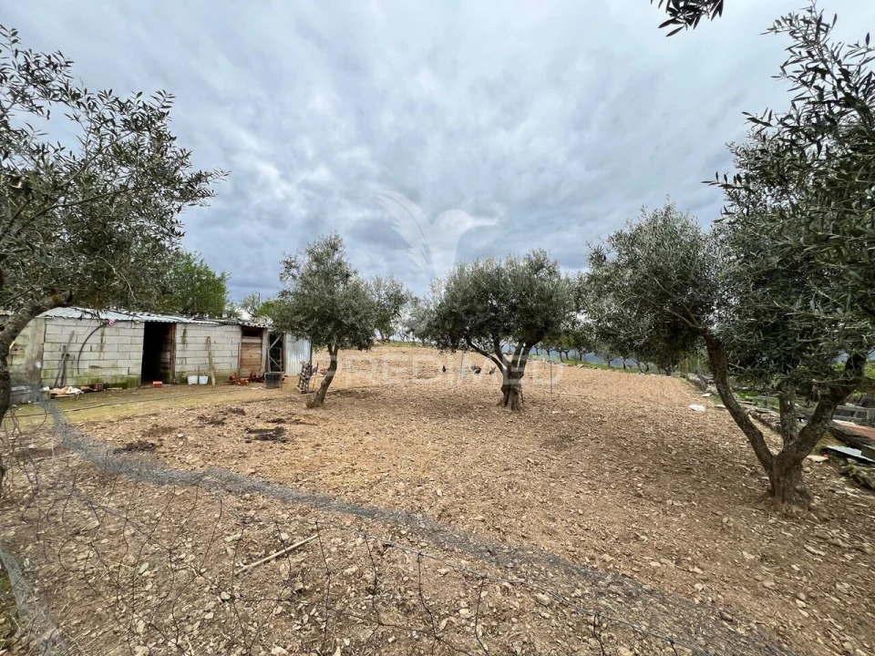 Moradia T3 para Venda em Açoreira Foto 19