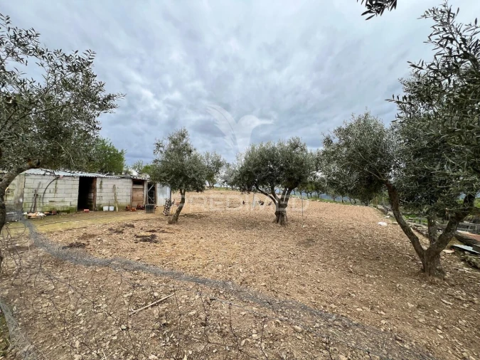 Moradia T3 para Venda em Açoreira Foto 19