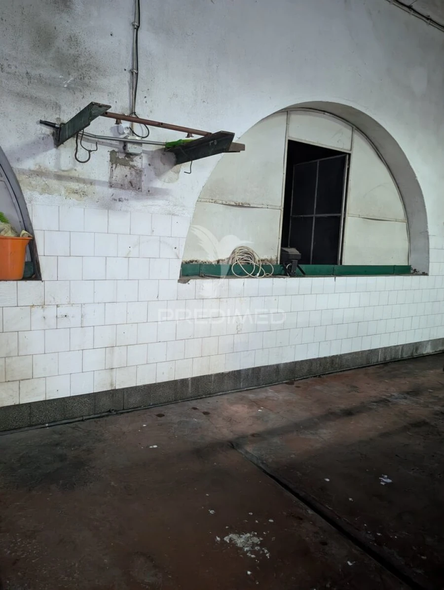 Armazém para Venda em Mora Foto 3