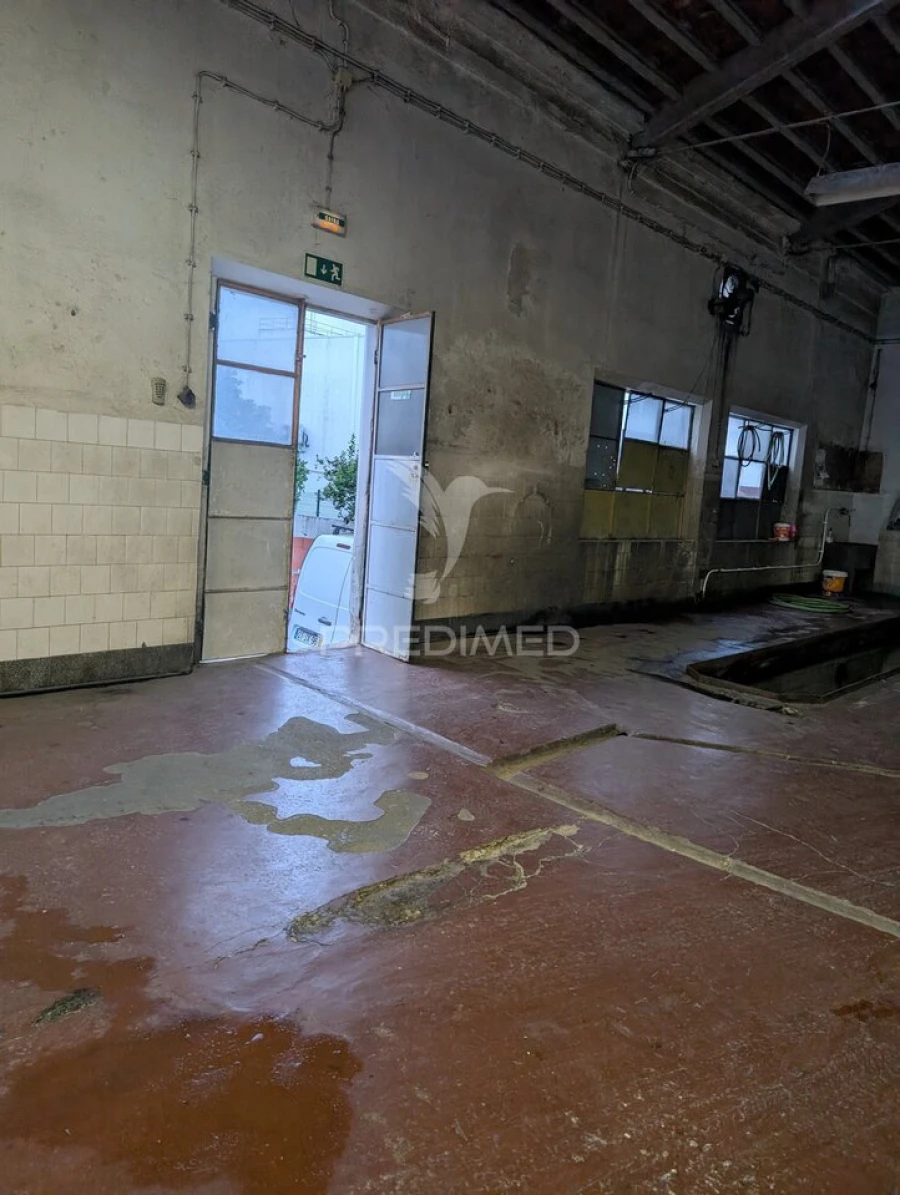 Armazém para Venda em Mora Foto 1