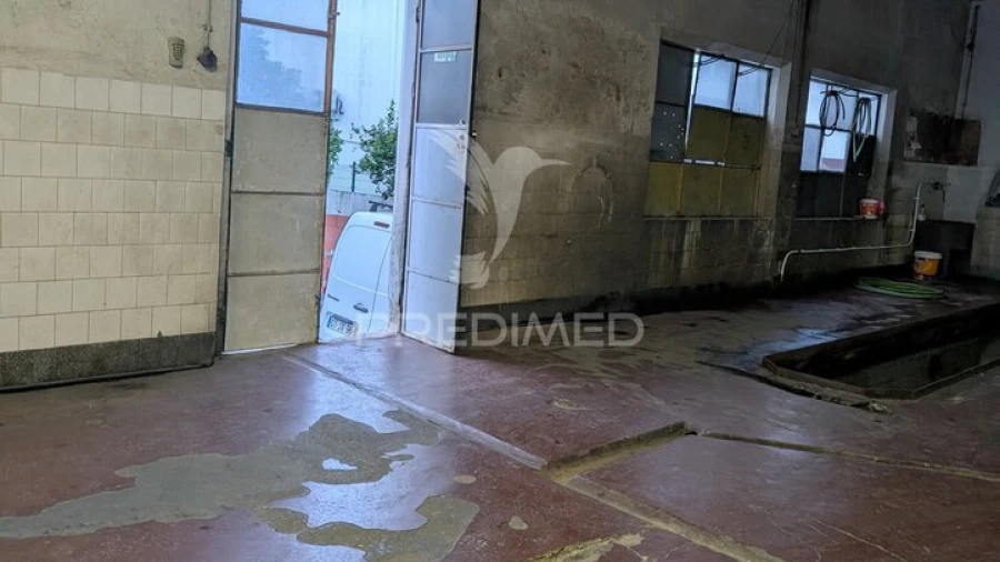 Armazém para Venda em Mora