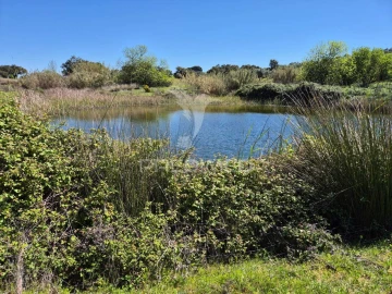 Quinta T4 para Venda em Pavia