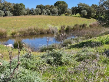 Quinta T4 para Venda em Pavia