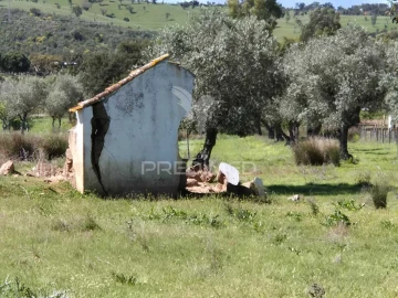 Quinta T4 para Venda em Pavia