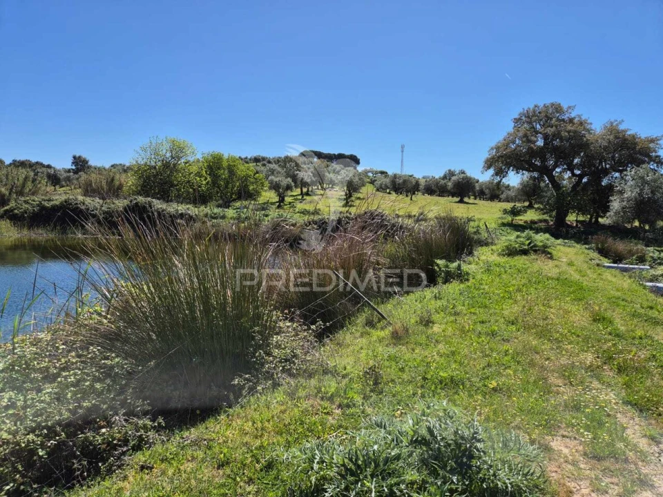 Quinta T4 para Venda em Pavia Foto 8