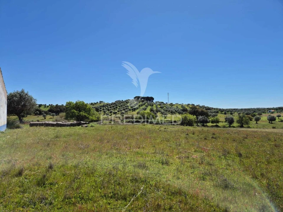 Quinta T4 para Venda em Pavia Foto 9