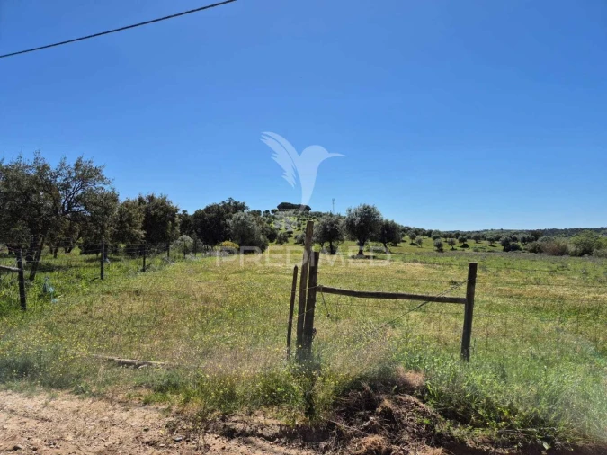 Quinta T4 para Venda em Pavia Foto 11