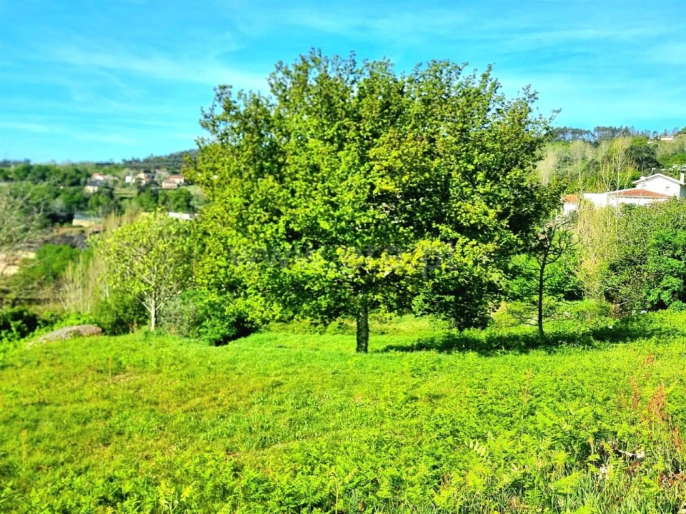 Moradia T0 para Venda em Sande e São Lourenço Foto 10