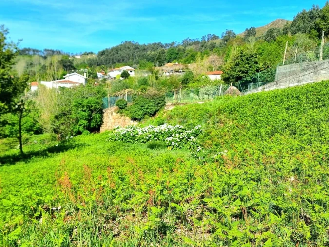 Moradia T0 para Venda em Sande e São Lourenço Foto 12