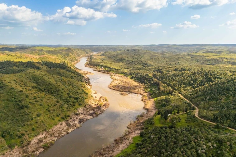 Moradia T1 para Venda em Mertola Foto 18