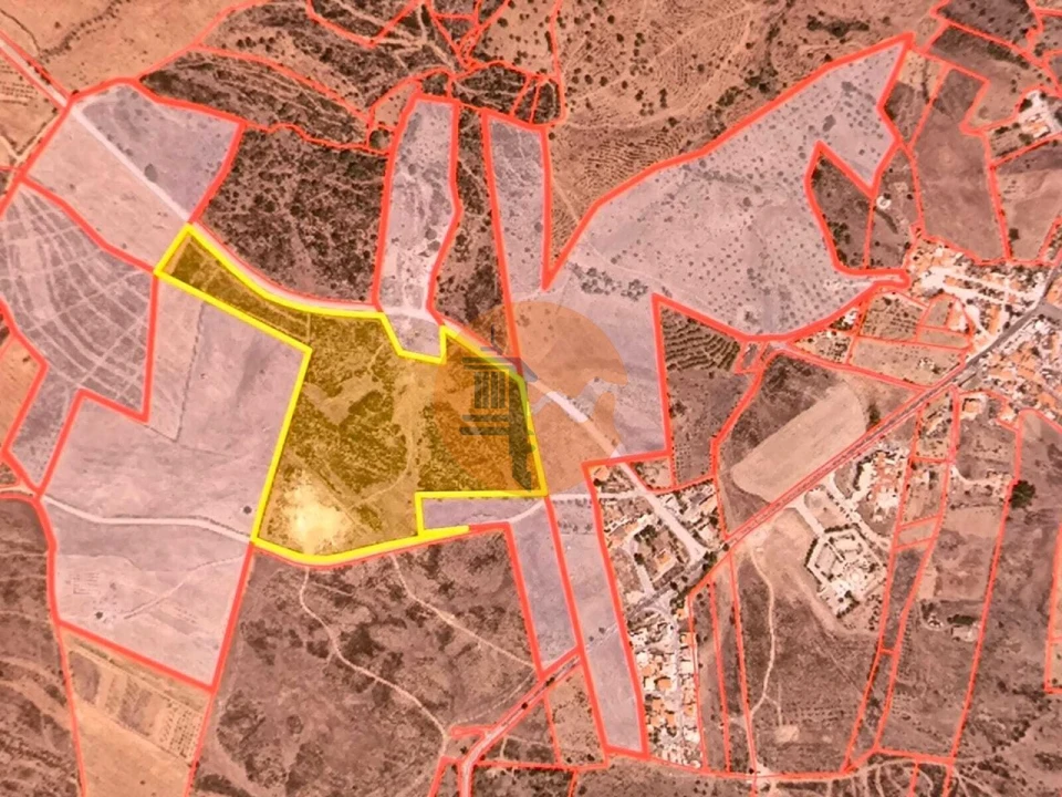 Terreno para Venda em Azinhal Foto 10