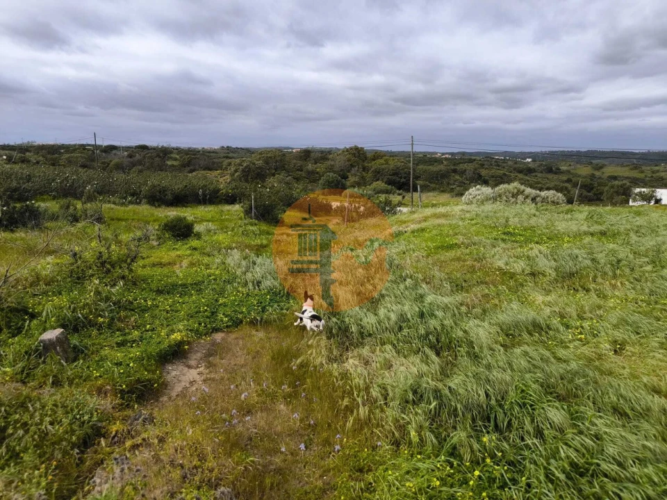 Terreno para Venda em Azinhal Foto 26