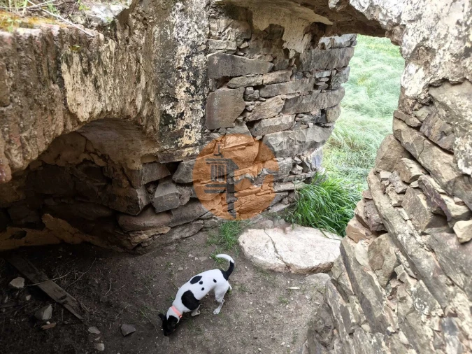 Terreno para Venda em Azinhal Foto 22