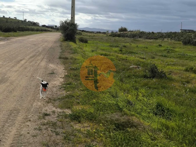 Terreno para Venda em Azinhal Foto 31