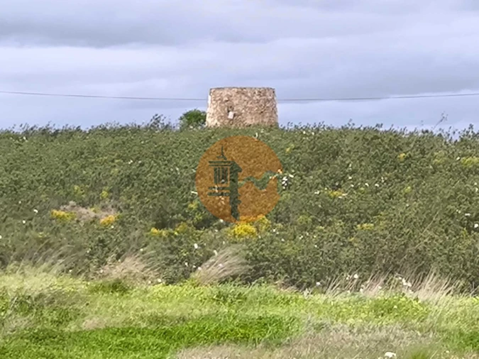 Terreno para Venda em Azinhal