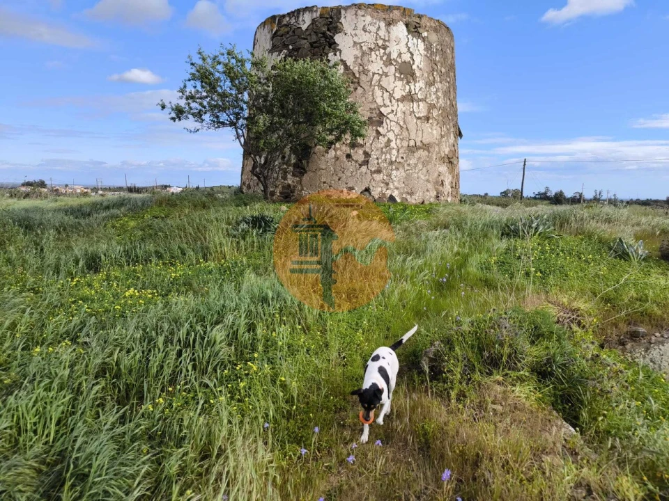 Terreno para Venda em Azinhal Foto 5