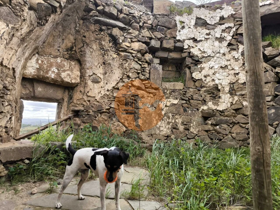 Terreno para Venda em Azinhal Foto 28