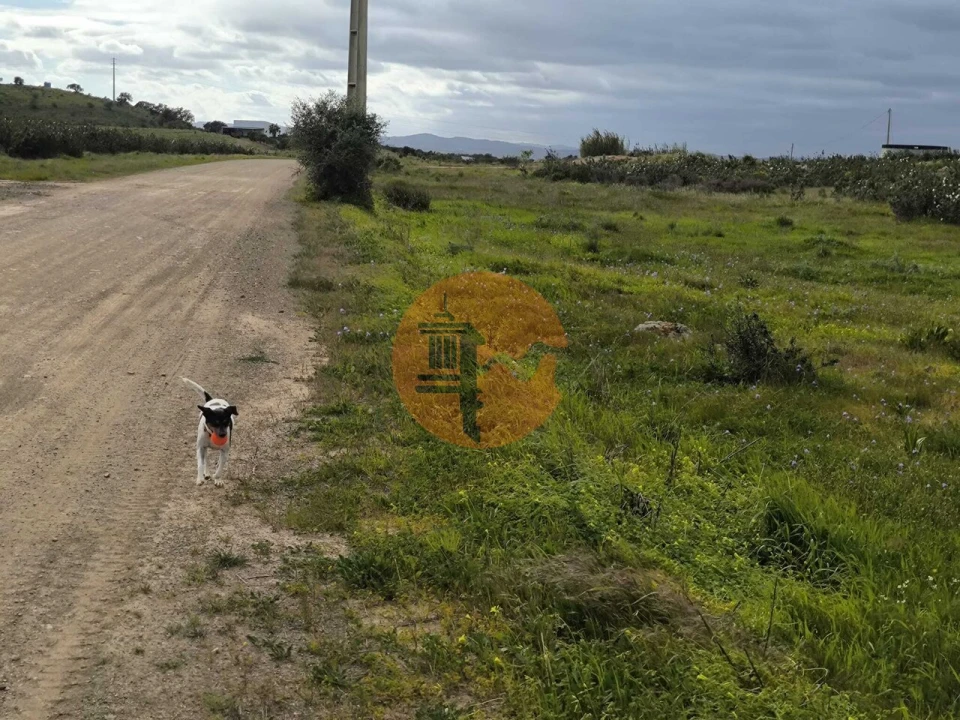 Terreno para Venda em Azinhal Foto 31