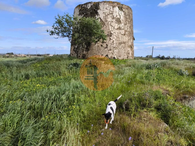 Terreno para Venda em Azinhal Foto 5