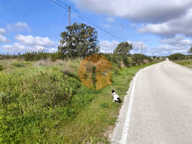 Terreno para Venda em Azinhal Foto 7