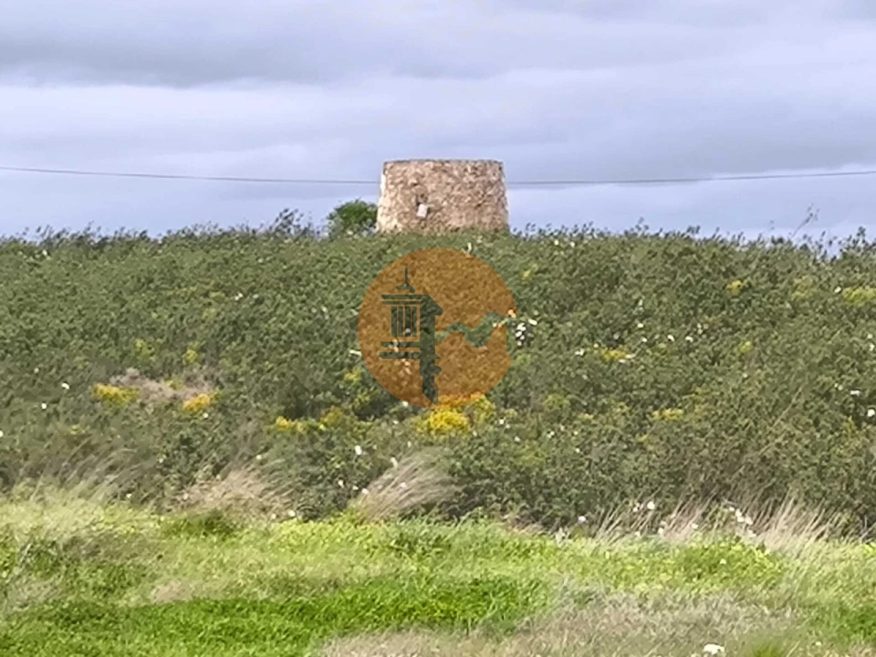 Negócio para Venda em Azinhal Foto 3