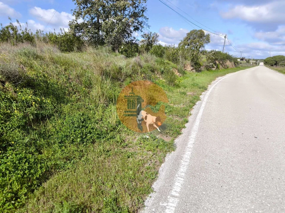 Negócio para Venda em Azinhal Foto 7