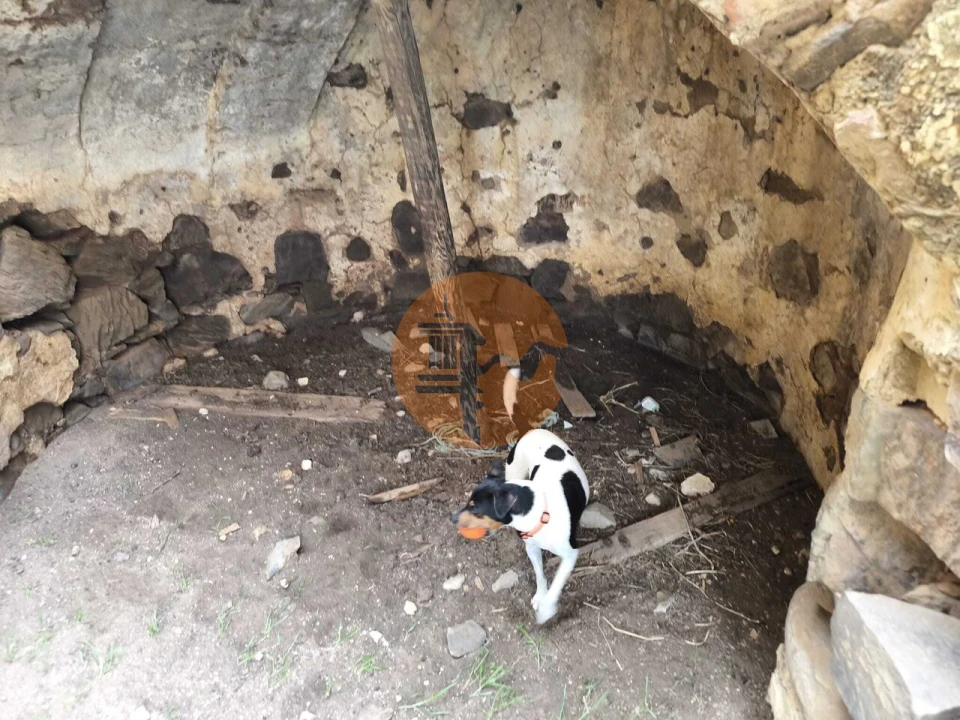 Negócio para Venda em Azinhal Foto 13