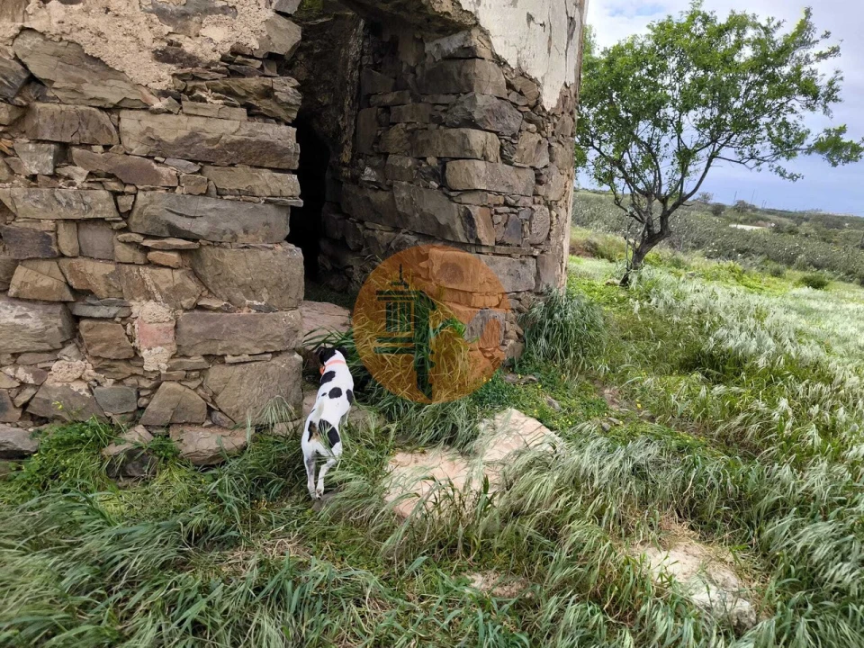 Negócio para Venda em Azinhal Foto 17