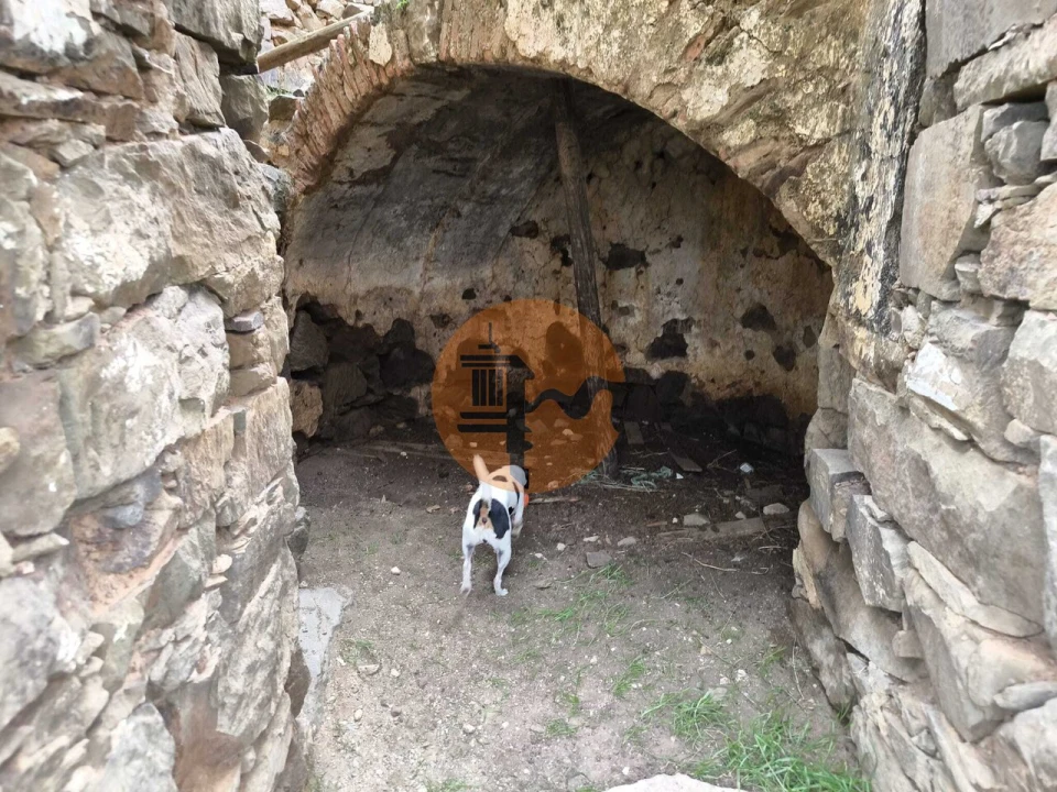 Negócio para Venda em Azinhal Foto 18