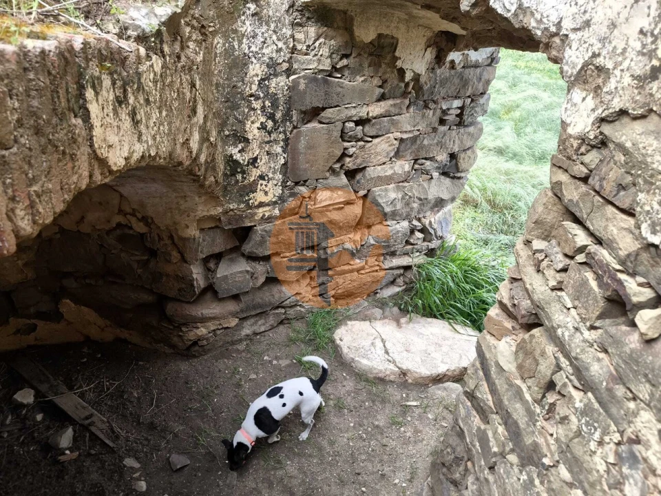 Negócio para Venda em Azinhal Foto 23