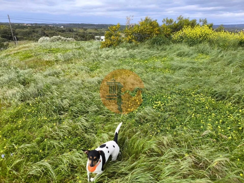 Negócio para Venda em Azinhal Foto 26