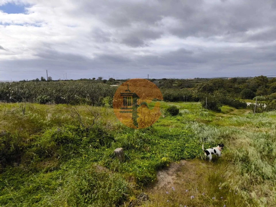 Negócio para Venda em Azinhal Foto 27